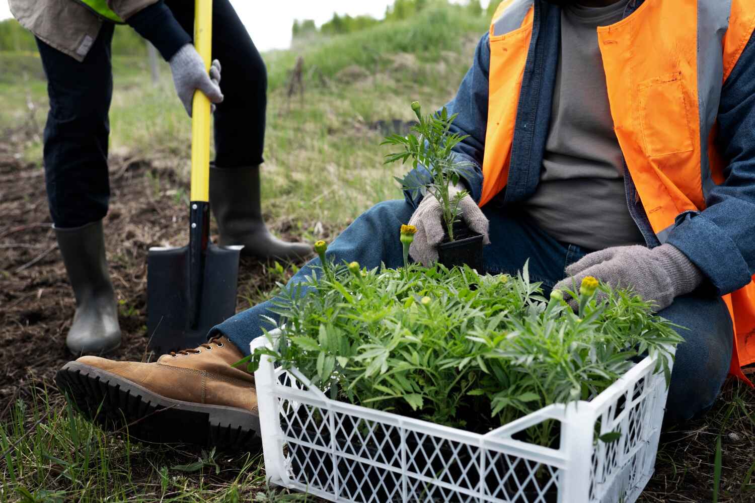 Professional Tree Service in Coushatta, LA